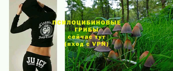 apvp Россошь